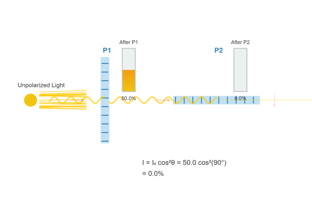10.7 Polarization Simulation | 1Mole